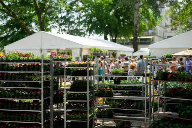 Ivančice dva eura, prkos euro... Još samo danas na zagrebačkom Floraartu možete kupiti svoj cvijet