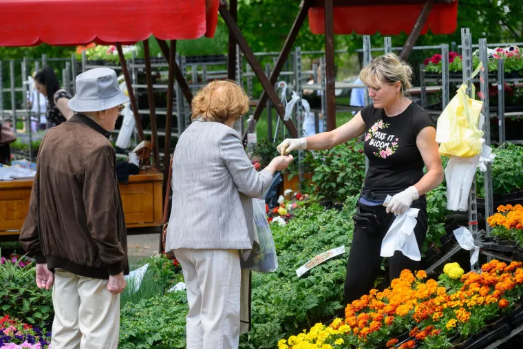 Ivančice dva eura, prkos euro... Još samo danas na zagrebačkom Floraartu možete kupiti svoj cvijet