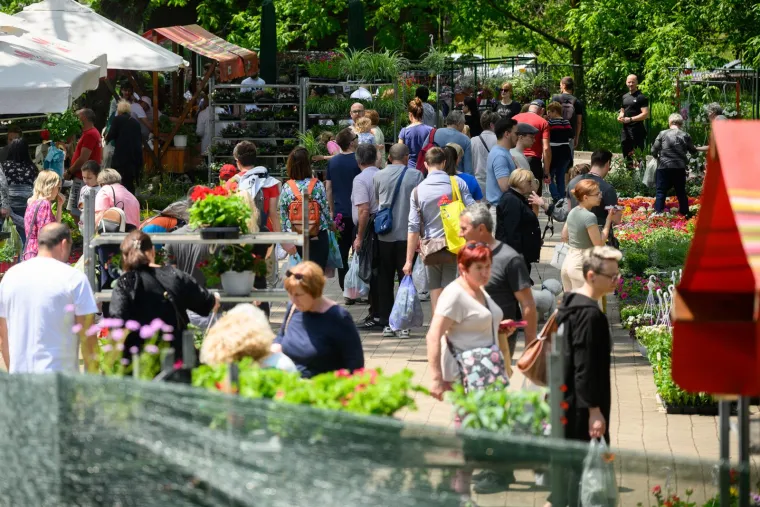 Ivančice dva eura, prkos euro... Još samo danas na zagrebačkom Floraartu možete kupiti svoj cvijet