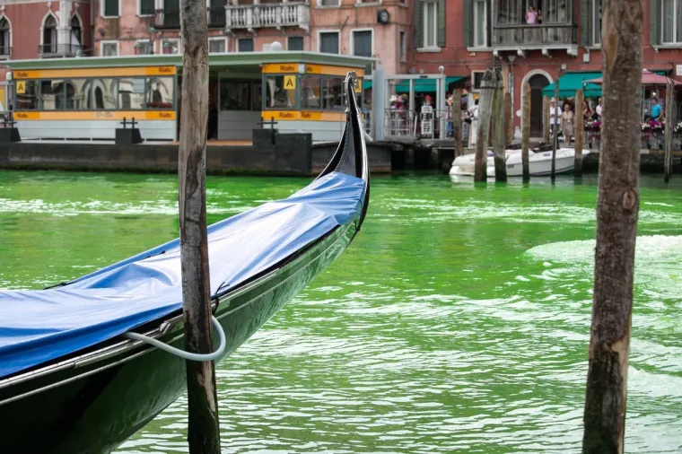 Glavni kanal u Veneciji flouroscentno zelen. Stanovnici i turisti iznenađeni, sve istražuje policija