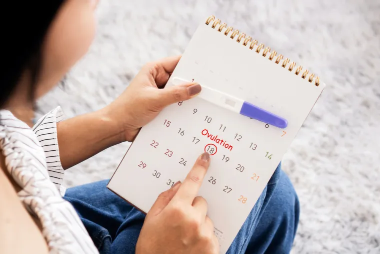 d) znak ulaska u menopauzu, postporođajnog krvarenja ili ovulacije