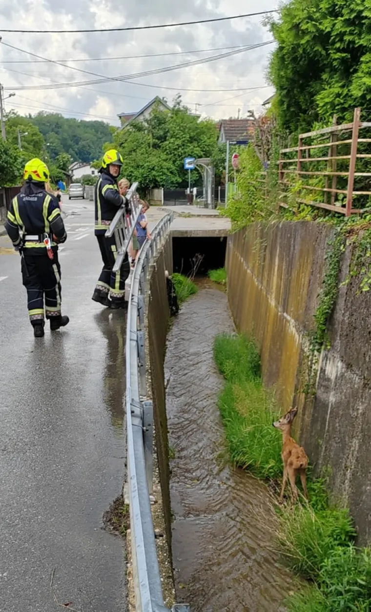 Pogledajte kako nakon nevremena izgleda odlazak na Sljeme. Vatrogasci jo&scaron; uvijek saniraju &scaron;tetu