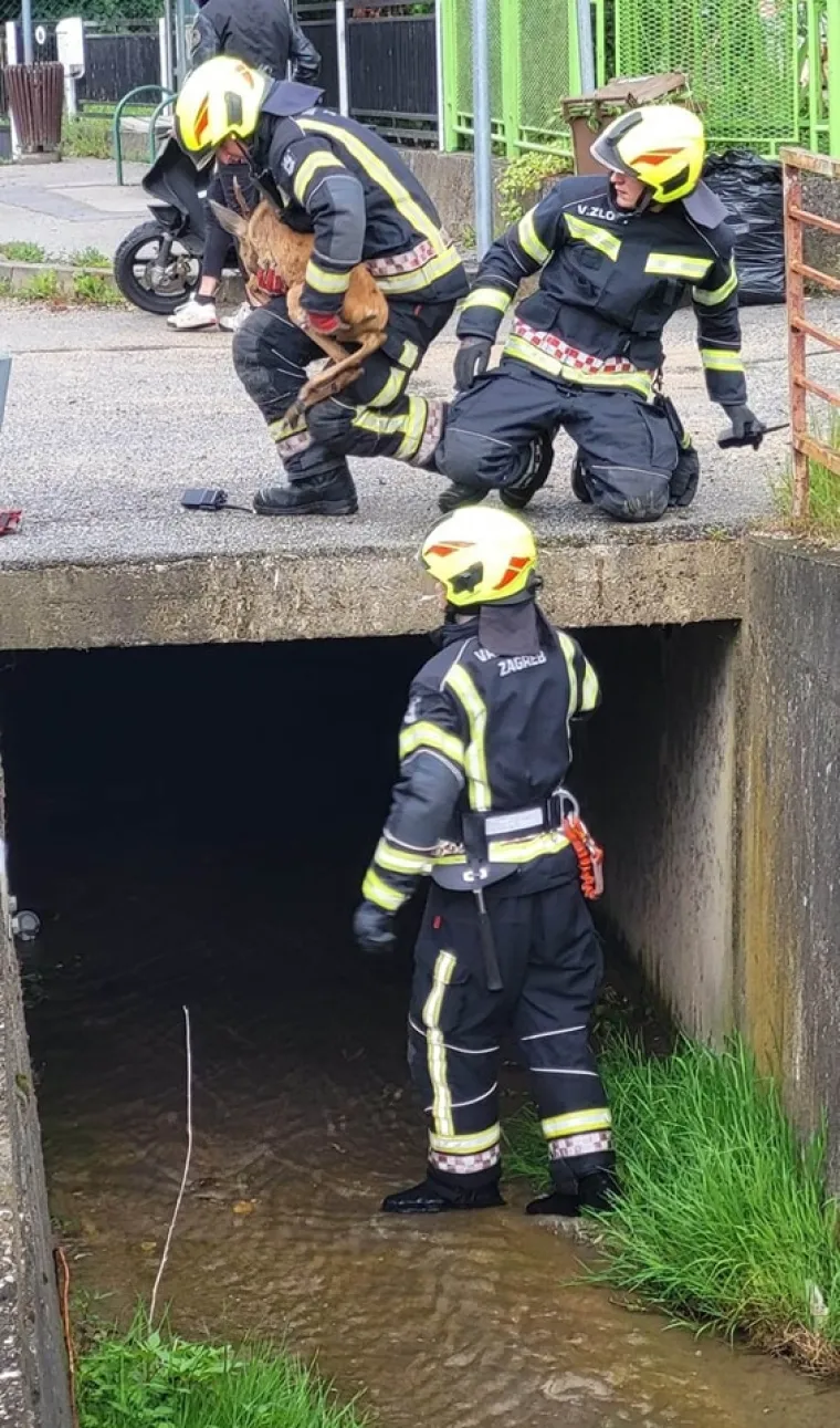 Pogledajte kako nakon nevremena izgleda odlazak na Sljeme. Vatrogasci jo&scaron; uvijek saniraju &scaron;tetu