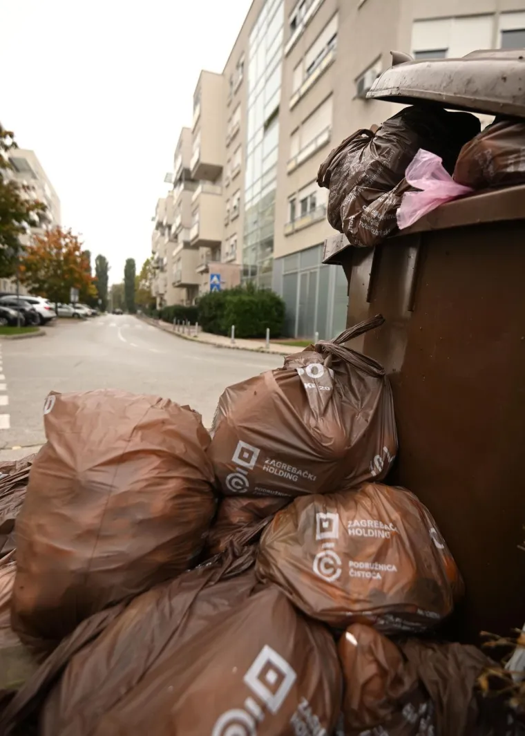 U smeđe spremnike za biootpad trebaš odlagati: - kuhinjski otpad (ostaci i kora voća i povrća, ljuske jaja, talog od kave, vrećice od čaja, ostaci kruha, listovi salate, blitve, kelja i sl.) - vrtni ili zeleni otpad (uvelo cvijeće, granje, otpalo lišće, otkos trave i živice, zemlja iz lončanica, ostaci voća i povrća i sl.), - male količine ostalog biootpada (kora drveta, kosa i dlaka, piljevina, papirnate maramice, borove iglice, male količine papira u koje su bili zamotani kuhinjski otpaci).