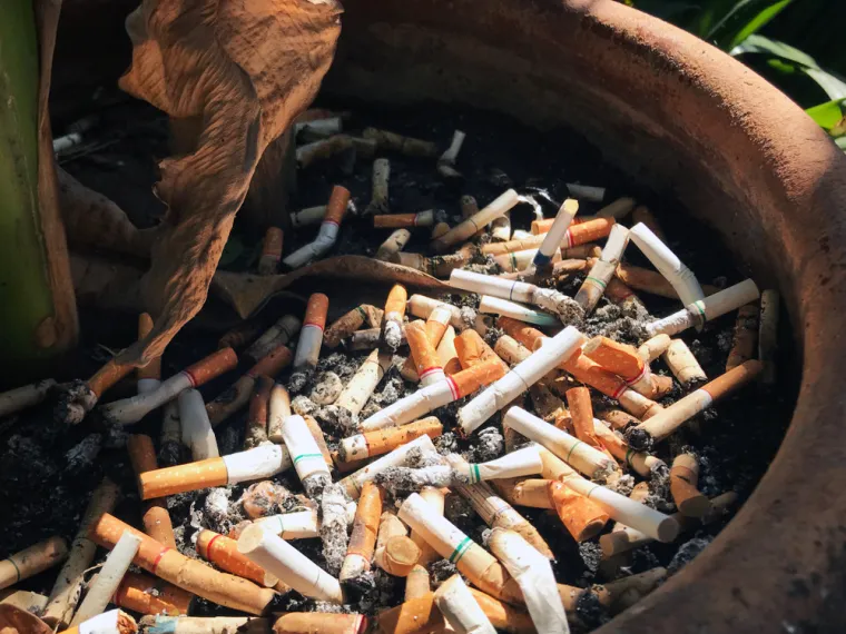 U smeđe spremnike ne smiješ odlagati: - ostaci termički obrađene hrane, - meso, riba, kosti, koža, - mliječni proizvodi, ulja i masti, - pepeo, ambalaža (kartonska, staklena, plastična), guma, opasni otpad, - obojeni i lakirani drveni otpad, - odjeća, cigarete i dr. 