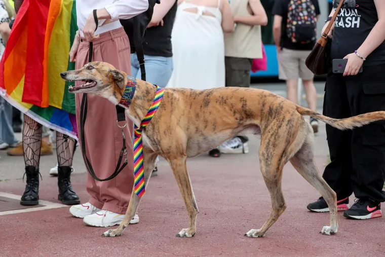 Tisuće ljudi u povorci ponosa: Ovogodišnji Pride ponovo okupio i poznata lica