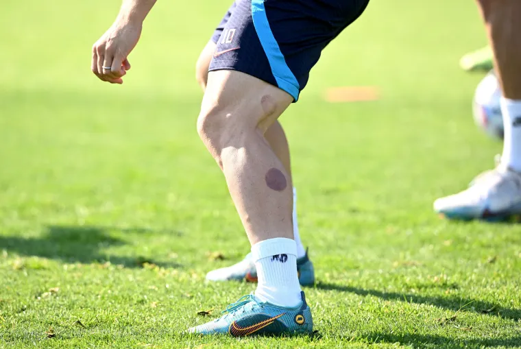 Gibon Kent prognozirao pobjedu Hrvatske protiv Nizozemske. Kakav majmun...