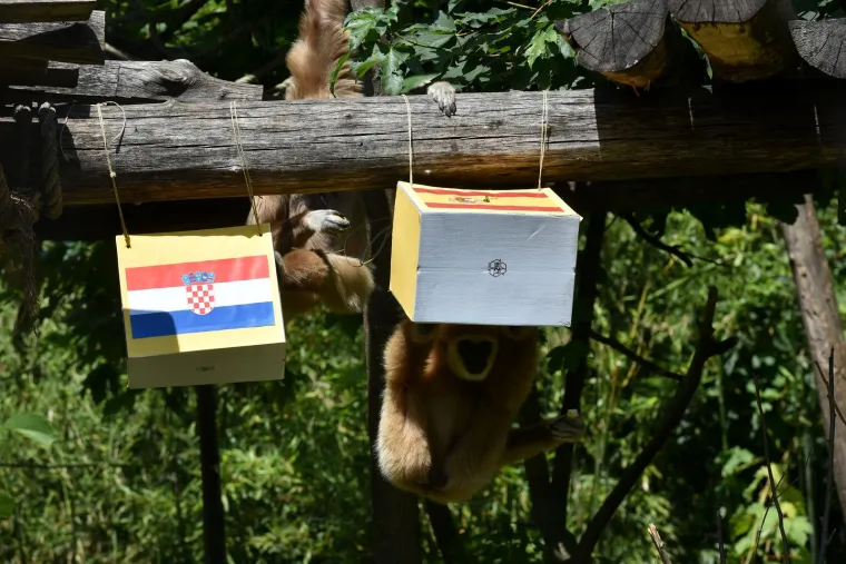 Giboni se ne slažu tko će osvojiti Ligu nacija: Tko će biti u pravu, otac ili kći? 'Vjerujemo Fioni'