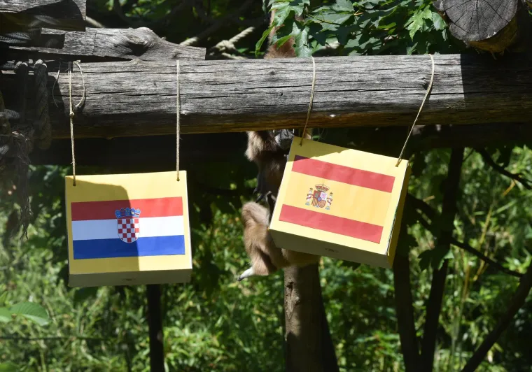 Giboni se ne slažu tko će osvojiti Ligu nacija: Tko će biti u pravu, otac ili kći? 'Vjerujemo Fioni'