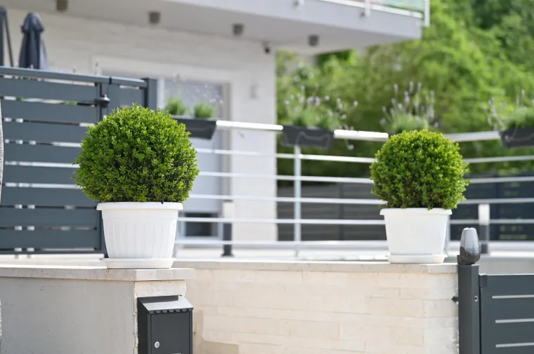 Neda Ukraden pozvala fotoreportere da snime njezinu vilu kod Imotskog: Pogledajte kako izgleda obnovljena Vila Neda u Ukradenima