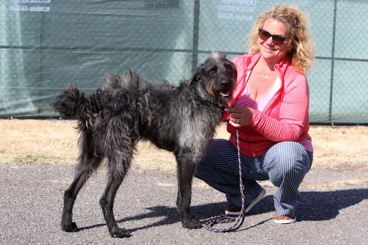 Scooter je i službeno najružniji pas na svijetu. Održan jo&scaron; jedan izbor, kandidati impresivni