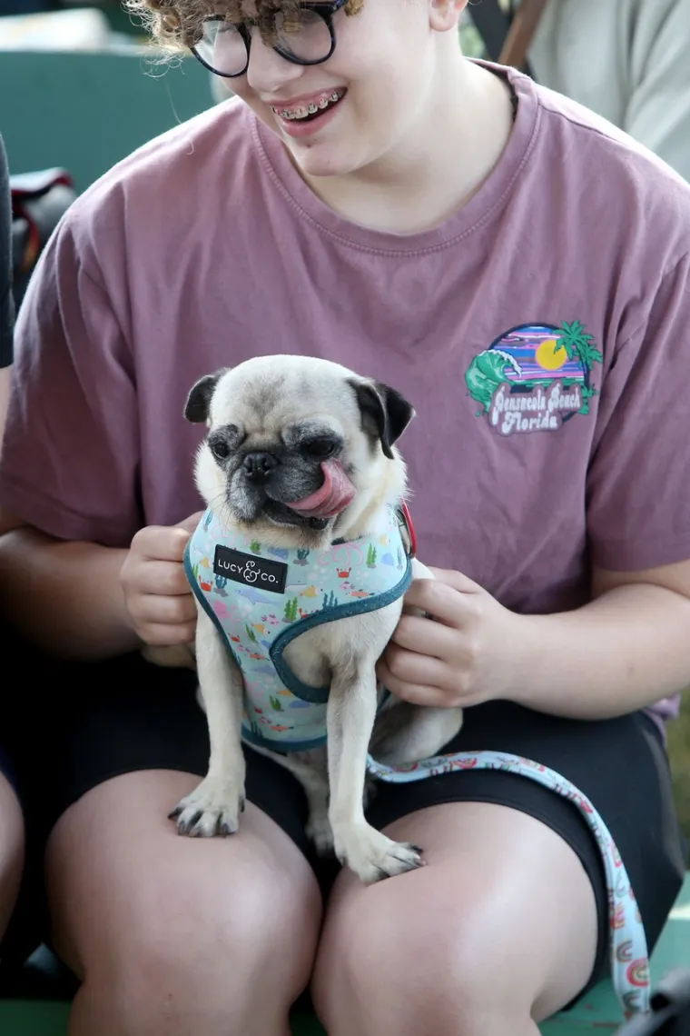 Izabran je najružniji pas na svijetu: Psić Scooter osvojio je srca svih u žiriju, ima jednu doista unikatnu osobinu