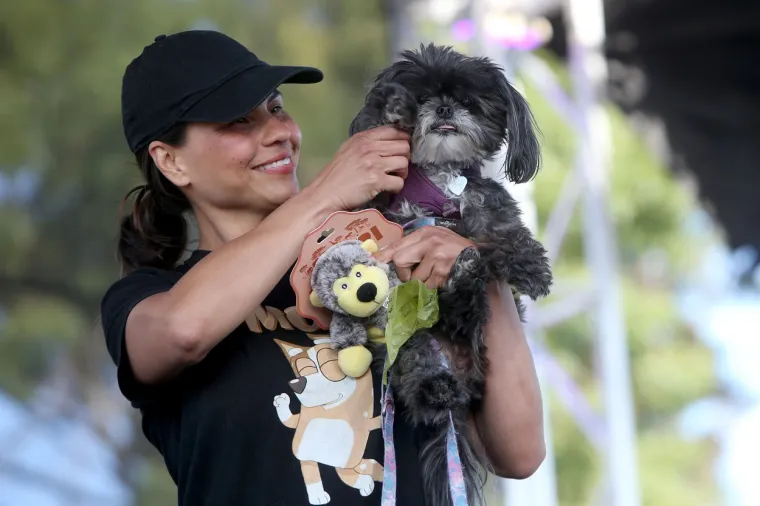 Izabran je najružniji pas na svijetu: Psić Scooter osvojio je srca svih u žiriju, ima jednu doista unikatnu osobinu