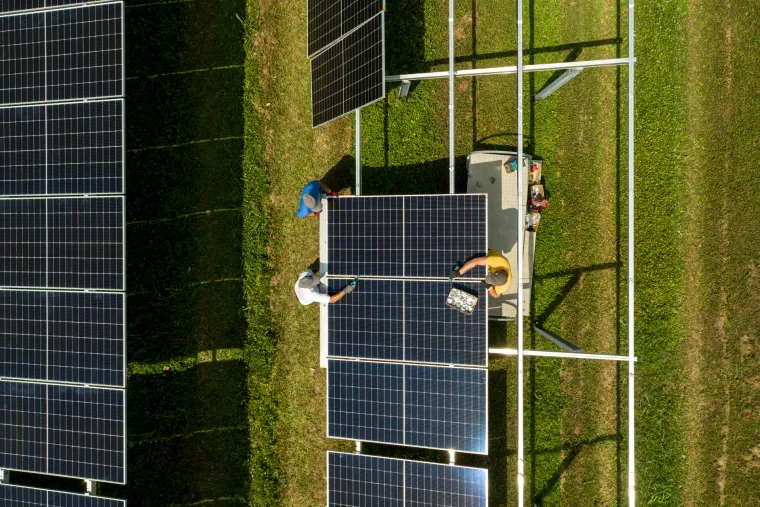 Prva hrvatska agrosolarna elektrana: Stvarat će zelenu energiju i ekološku hranu, a ovčice će mirno pasti između panela