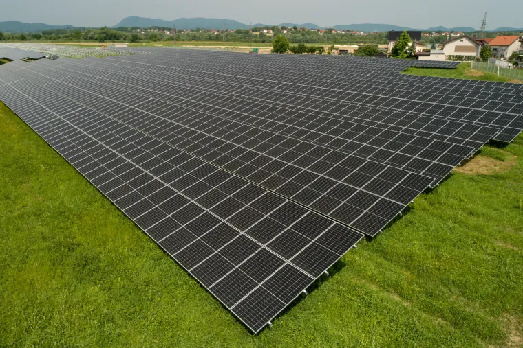 Prva hrvatska agrosolarna elektrana: Stvarat će zelenu energiju i ekološku hranu, a ovčice će mirno pasti između panela