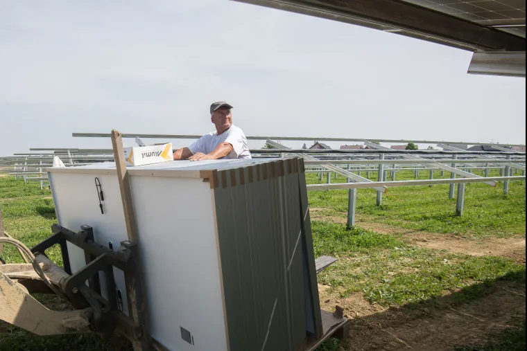Prva hrvatska agrosolarna elektrana: Stvarat će zelenu energiju i ekološku hranu, a ovčice će mirno pasti između panela