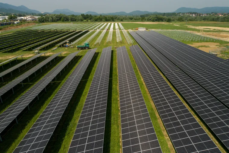 Prva hrvatska agrosolarna elektrana: Stvarat će zelenu energiju i ekološku hranu, a ovčice će mirno pasti između panela
