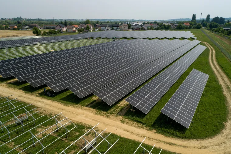 Prva hrvatska agrosolarna elektrana: Stvarat će zelenu energiju i ekološku hranu, a ovčice će mirno pasti između panela