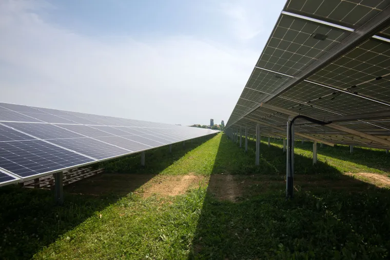 Prva hrvatska agrosolarna elektrana: Stvarat će zelenu energiju i ekološku hranu, a ovčice će mirno pasti između panela