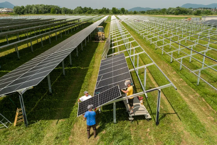 Prva hrvatska agrosolarna elektrana: Stvarat će zelenu energiju i ekološku hranu, a ovčice će mirno pasti između panela