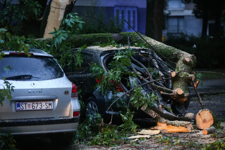 Staro stablo se srušilo na aute, žena ostala zarobljena: Pomogli joj građani da se izvuče, srećom nije ozlijeđena