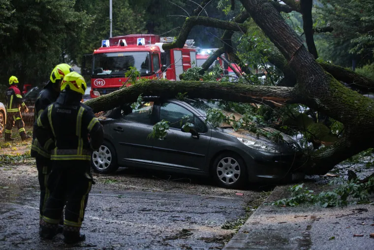 Staro stablo se srušilo na aute, žena ostala zarobljena: Pomogli joj građani da se izvuče, srećom nije ozlijeđena