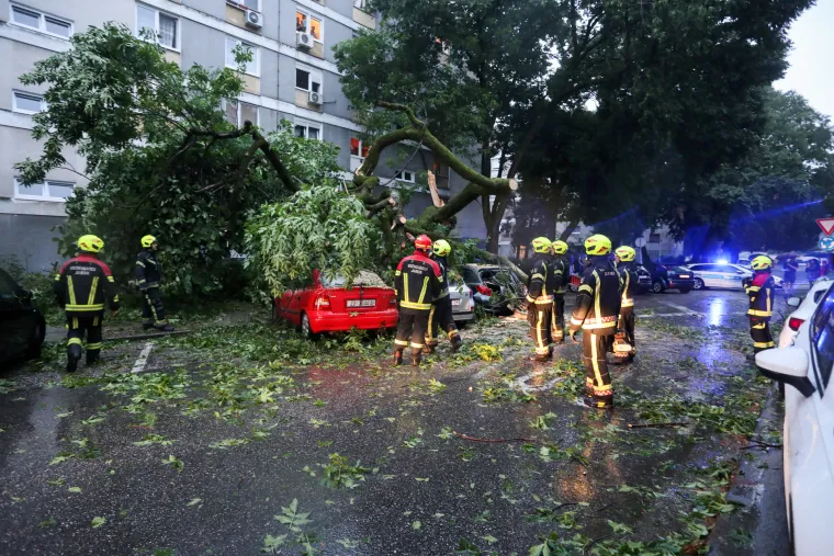 Staro stablo se srušilo na aute, žena ostala zarobljena: Pomogli joj građani da se izvuče, srećom nije ozlijeđena