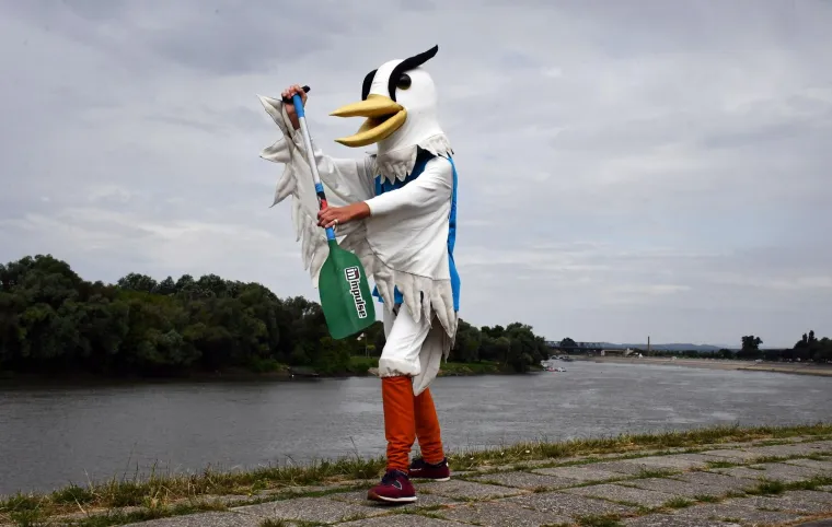 Slavonija će ugostiti Europsko prvenstvo: Upoznajte maskotu Savka, znate li &scaron;to je on?