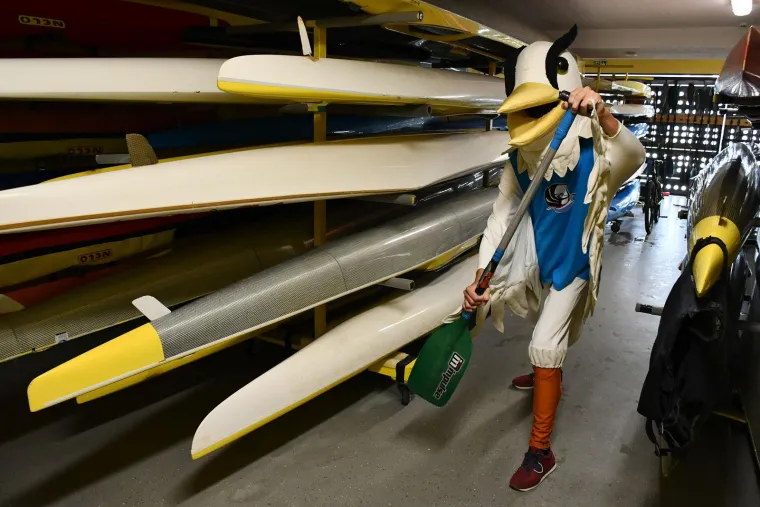 Slavonija će ugostiti Europsko prvenstvo: Upoznajte maskotu Savka, znate li &scaron;to je on?