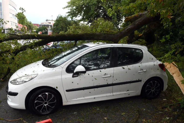 Nezapamćeno nevrijeme poharalo Sloveniju: Olujni vjetar čupao stabla kao od &scaron;ale, bilo je pljuskova i obilne tuče