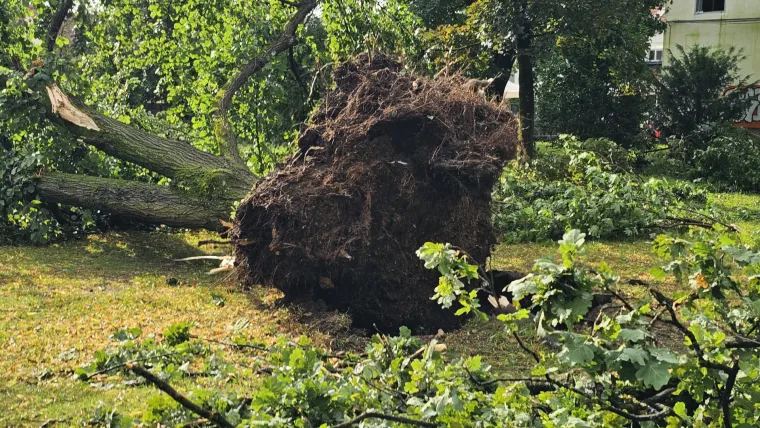 Nezapamćeno nevrijeme poharalo Sloveniju: Olujni vjetar čupao stabla kao od &scaron;ale, bilo je pljuskova i obilne tuče