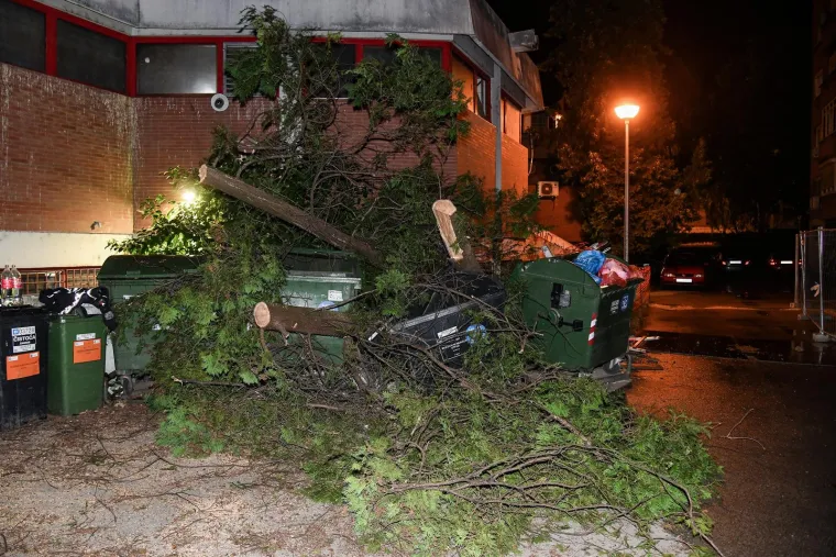 Pogledajte posljedice nevremena u Zagrebu: Olujni vjetar čupao je stabla