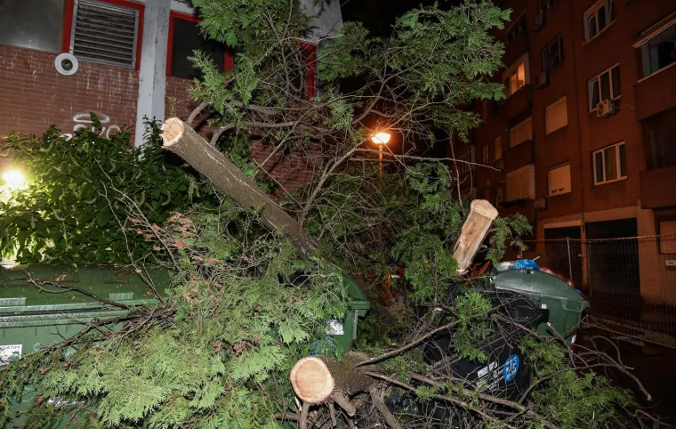 Pogledajte posljedice nevremena u Zagrebu: Olujni vjetar čupao je stabla
