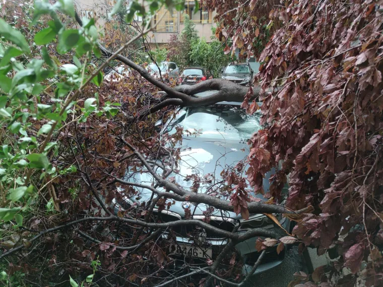 Ovo je Zagreb nakon oluje. Vatrogasci na intervencijama, stabla i krovovi padali na automobile