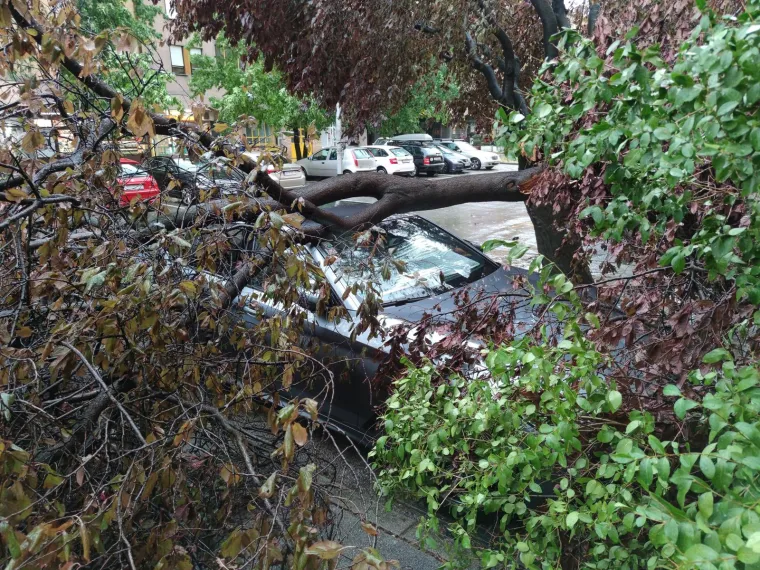 Ovo je Zagreb nakon oluje. Vatrogasci na intervencijama, stabla i krovovi padali na automobile