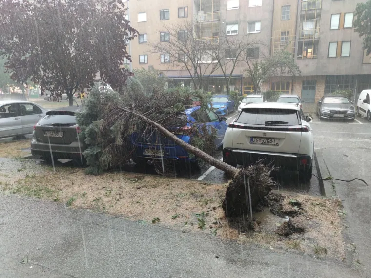 Ovo je Zagreb nakon oluje. Vatrogasci na intervencijama, stabla i krovovi padali na automobile