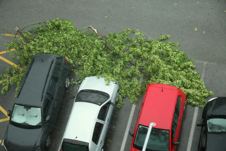 Ovo je Zagreb nakon oluje. Vatrogasci na intervencijama, stabla i krovovi padali na automobile