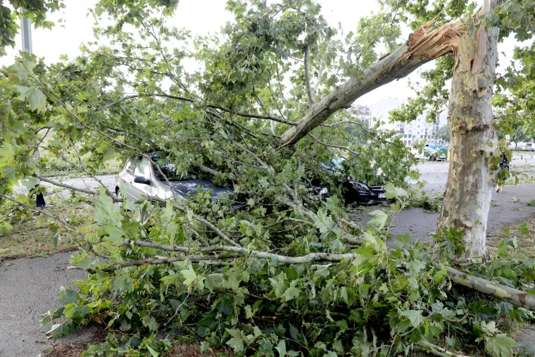 Automobili su još pod stablima, ulice su pune grana. Zagrebom su nakon nevremena odzvanjali zvukovi motorki, čišćenje se nastavlja