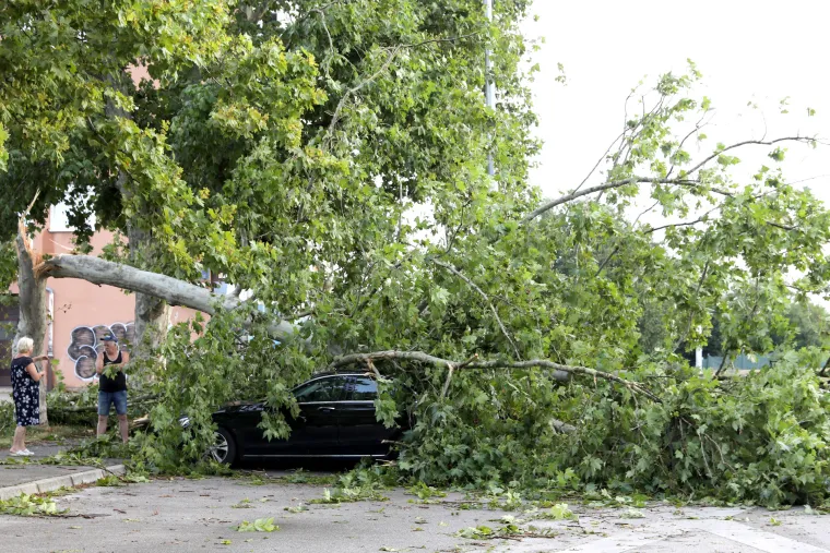 Automobili su još pod stablima, ulice su pune grana. Zagrebom su nakon nevremena odzvanjali zvukovi motorki, čišćenje se nastavlja
