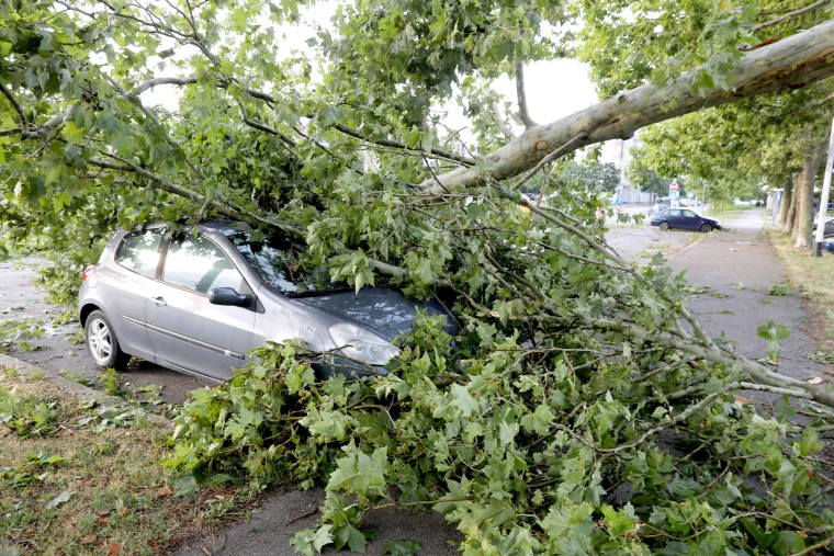 Automobili su još pod stablima, ulice su pune grana. Zagrebom su nakon nevremena odzvanjali zvukovi motorki, čišćenje se nastavlja