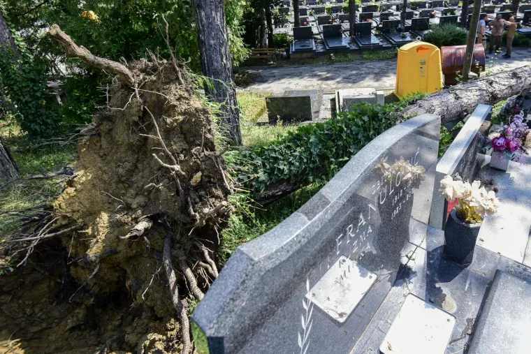 Najvećim zagrebačkim grobljem kao da je prošao uragan: Srušio se drvored, stradali nadgrobni spomenici...