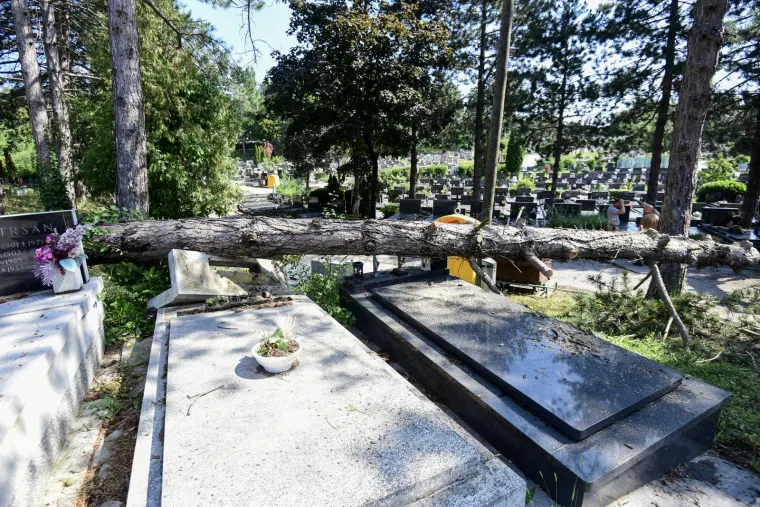Najvećim zagrebačkim grobljem kao da je prošao uragan: Srušio se drvored, stradali nadgrobni spomenici...
