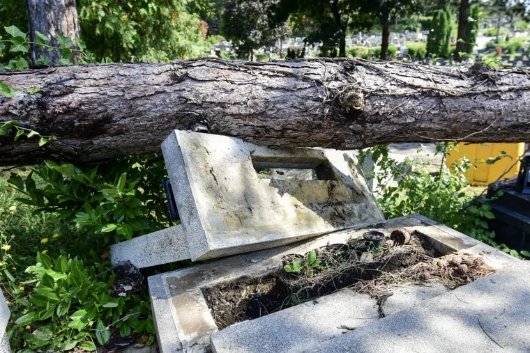 Najvećim zagrebačkim grobljem kao da je prošao uragan: Srušio se drvored, stradali nadgrobni spomenici...