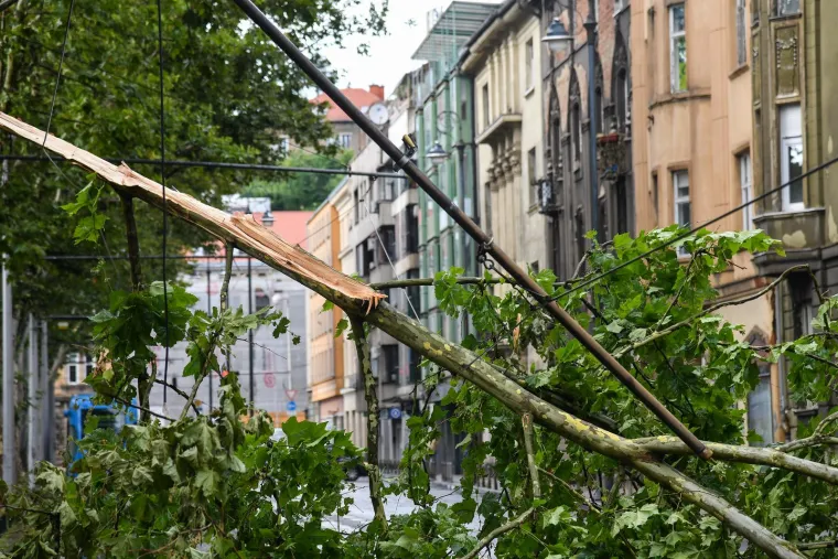 Pogledajte posljedice oluje u Zagrebu i Rijeci, vatrogasci imaju pune ruke posla, a &scaron;teta će se dugo zbrajati