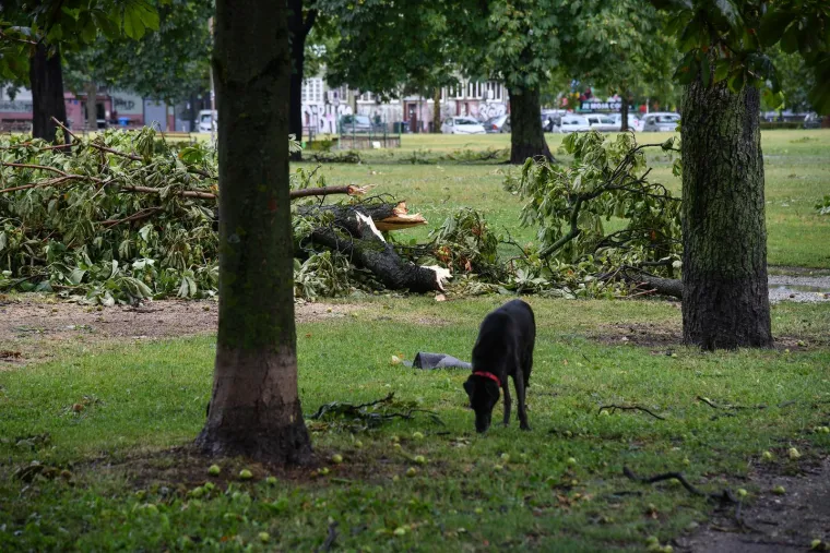 Pogledajte posljedice oluje u Zagrebu i Rijeci, vatrogasci imaju pune ruke posla, a &scaron;teta će se dugo zbrajati