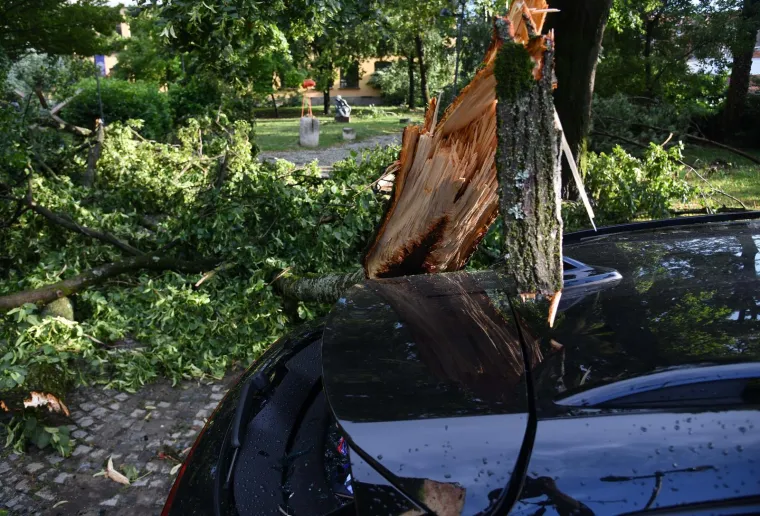 Pogledajte posljedice oluje u Zagrebu i Rijeci, vatrogasci imaju pune ruke posla, a &scaron;teta će se dugo zbrajati