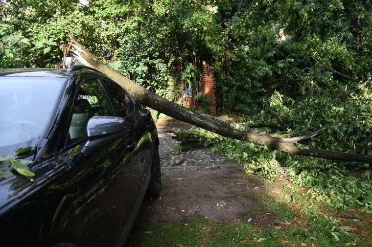 Pogledajte posljedice oluje u Zagrebu i Rijeci, vatrogasci imaju pune ruke posla, a &scaron;teta će se dugo zbrajati
