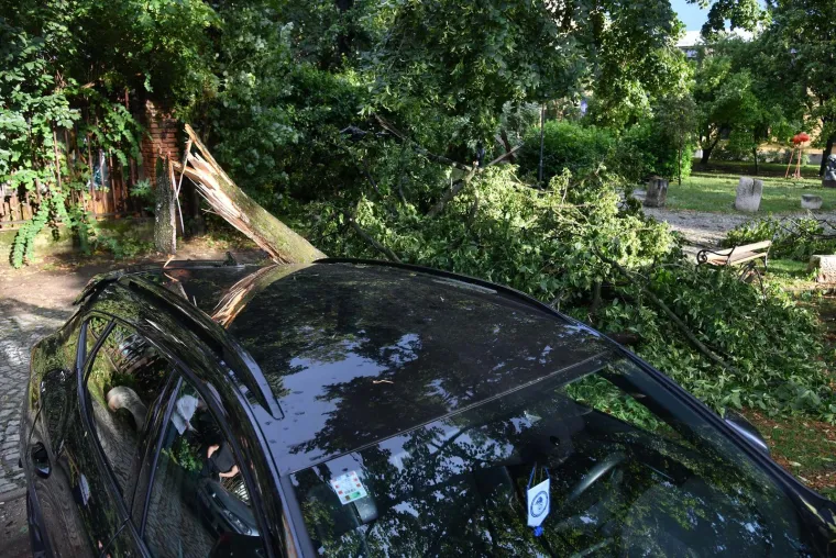 Pogledajte posljedice oluje u Zagrebu i Rijeci, vatrogasci imaju pune ruke posla, a &scaron;teta će se dugo zbrajati