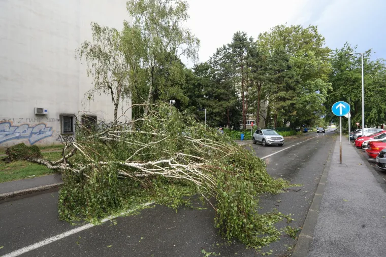 Pogledajte posljedice oluje u Zagrebu i Rijeci, vatrogasci imaju pune ruke posla, a &scaron;teta će se dugo zbrajati