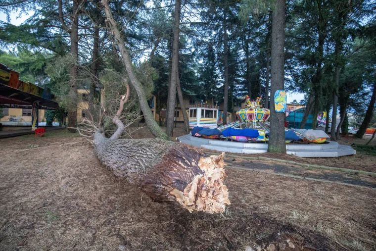 Prepolovljena kampica, deseci i&scaron;čupanih stabala. Ovako je izgledao Novigrad nakon nevremena